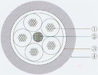 多芯汽車線(圖2) 多芯汽車線(圖2)